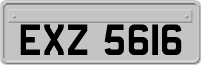 EXZ5616