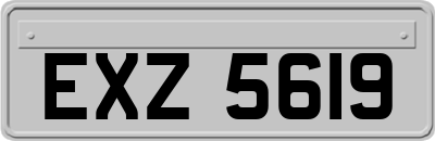 EXZ5619
