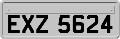 EXZ5624