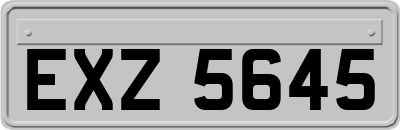 EXZ5645