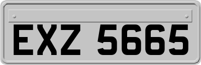 EXZ5665