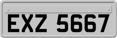 EXZ5667