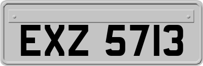 EXZ5713