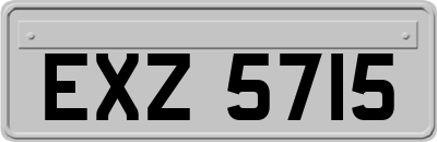 EXZ5715