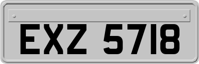 EXZ5718