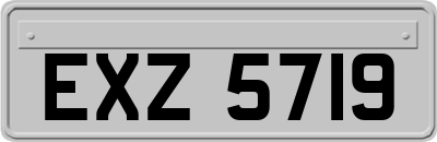 EXZ5719