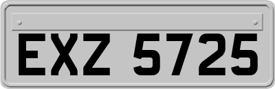 EXZ5725