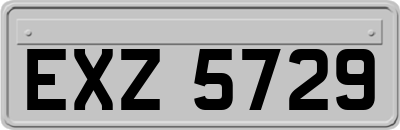 EXZ5729