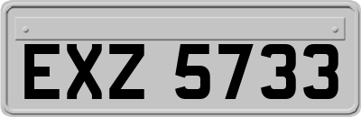 EXZ5733