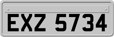 EXZ5734