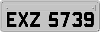 EXZ5739
