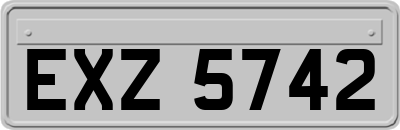 EXZ5742