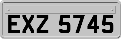EXZ5745