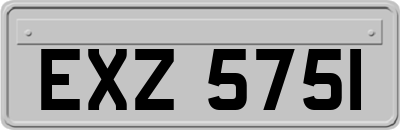 EXZ5751