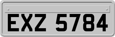 EXZ5784