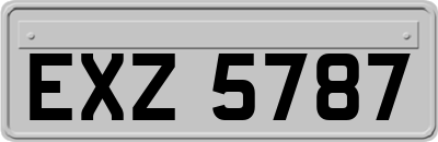 EXZ5787