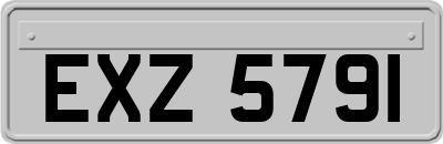 EXZ5791