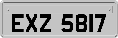 EXZ5817