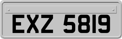 EXZ5819
