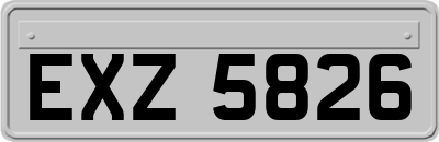 EXZ5826