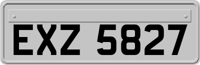 EXZ5827