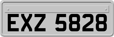 EXZ5828
