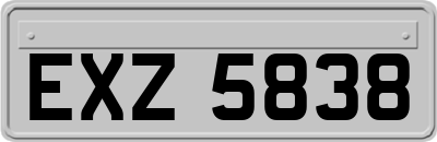 EXZ5838