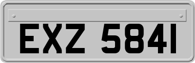 EXZ5841