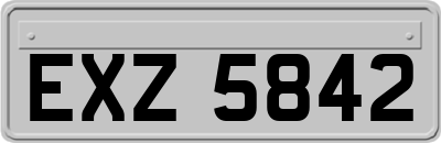 EXZ5842