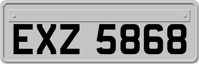 EXZ5868