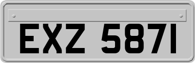 EXZ5871