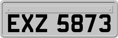 EXZ5873