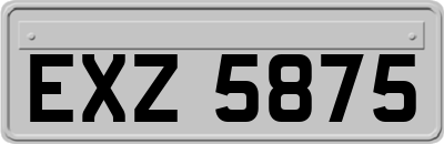 EXZ5875