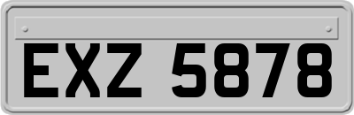 EXZ5878