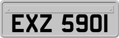 EXZ5901