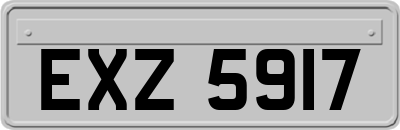 EXZ5917