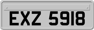 EXZ5918