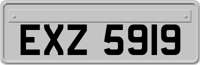 EXZ5919