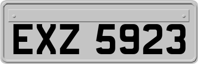 EXZ5923