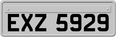 EXZ5929