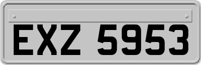 EXZ5953