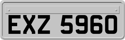 EXZ5960