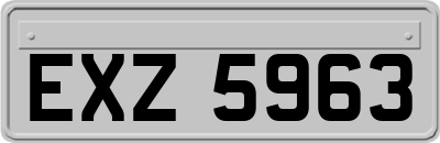 EXZ5963