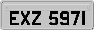 EXZ5971