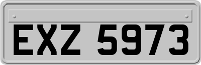 EXZ5973