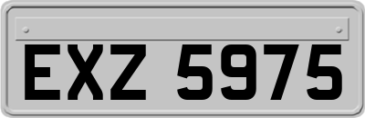 EXZ5975