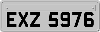 EXZ5976