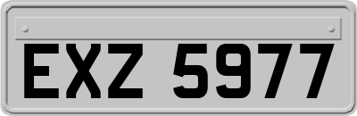 EXZ5977