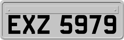 EXZ5979