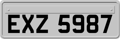 EXZ5987